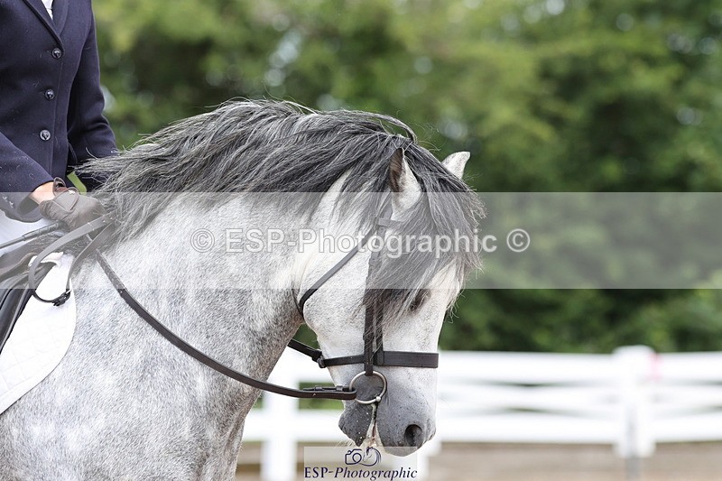 240706A-110449-01484 - Cls 3A Jnr Prelim 7