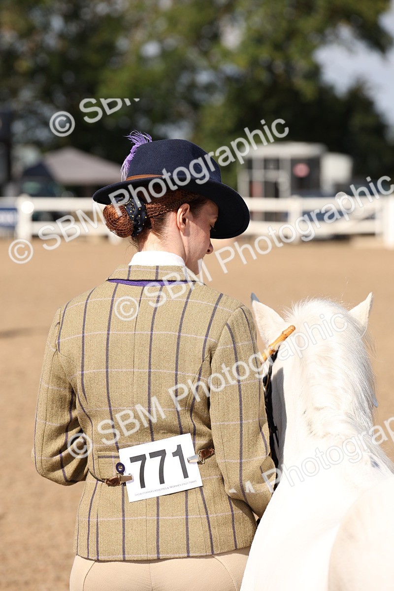 SBM_02809 - Class 16 IH M&M Wildcard