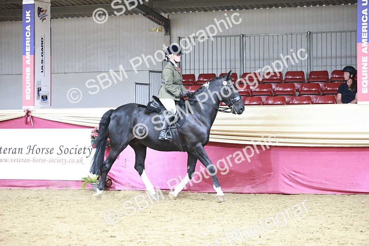 SBM_08749 - Class 12R - Regional Ridden Pre-Vet