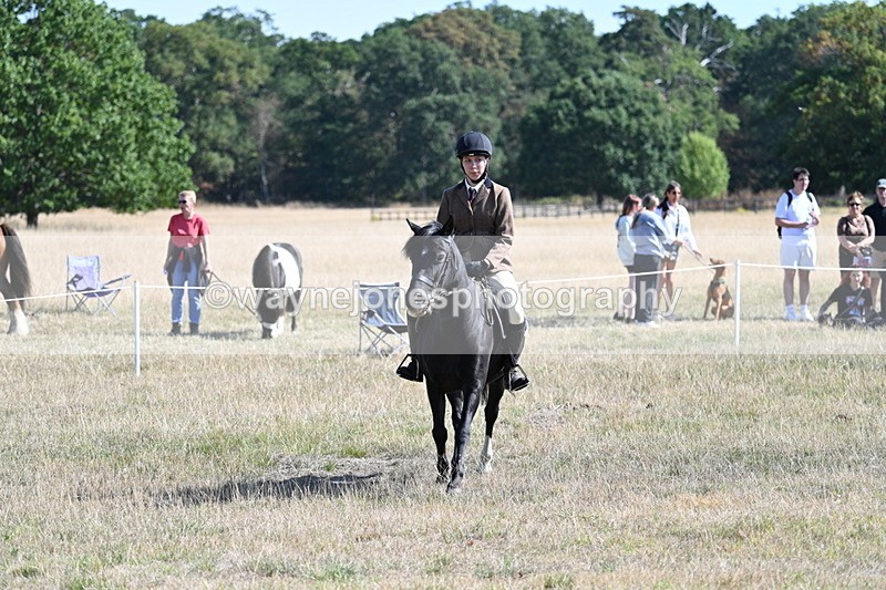 WJ7_3813 - Class 9 Mountain & Moorland Ridden