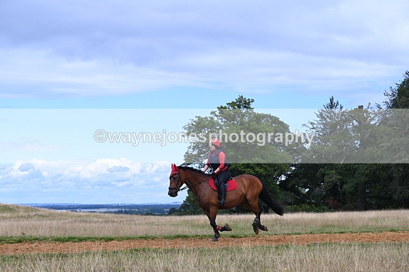 DSC_8872 - Time at Statue 14:33 to 15:10