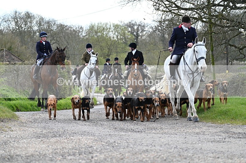 WJ7_9797 - Walk Home