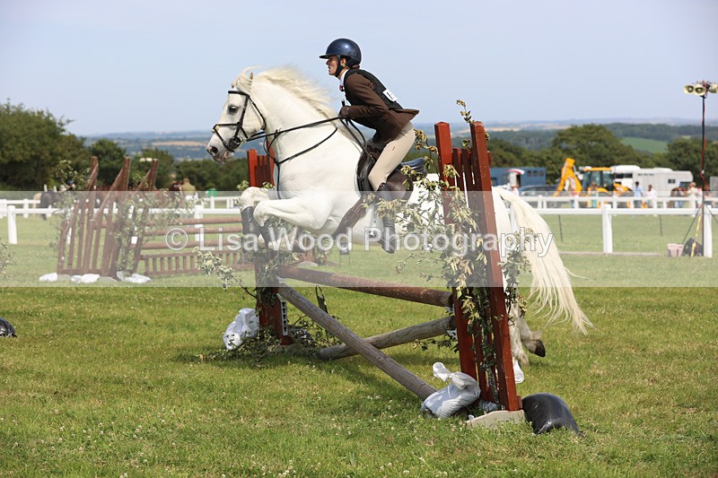 JPP_3710 - Class 23: Working Hunter 80cm
