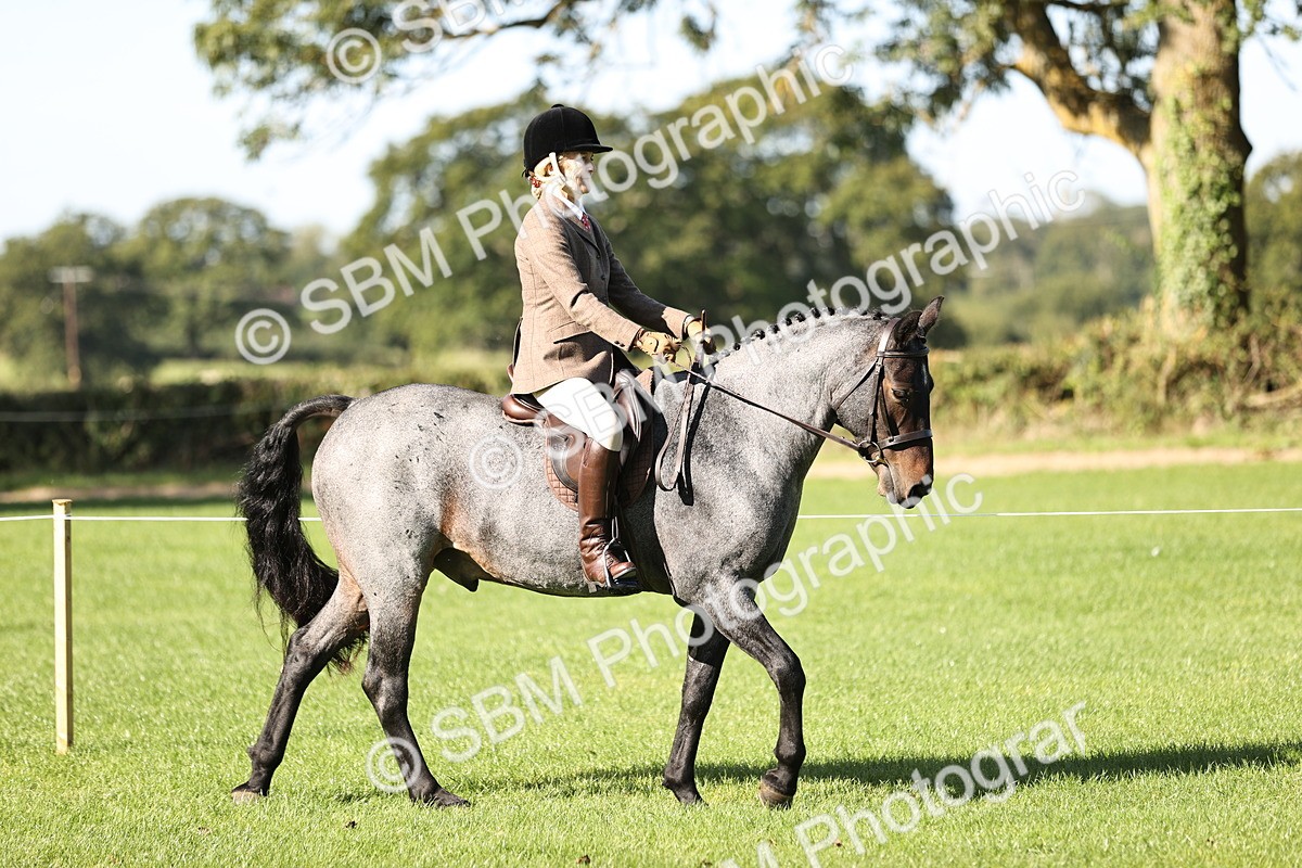 SBM_16891 - S2 - TSR Ridden Pony Showing