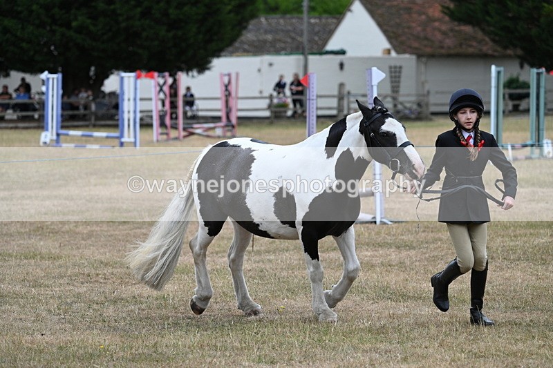WJ7_8284 - Class 4 Prettiest Mare up to 14.2hh