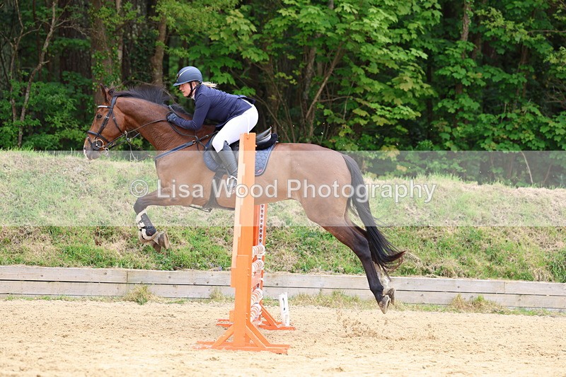 3E7A6299 - Class 4: Senior British Novice/90cm open
