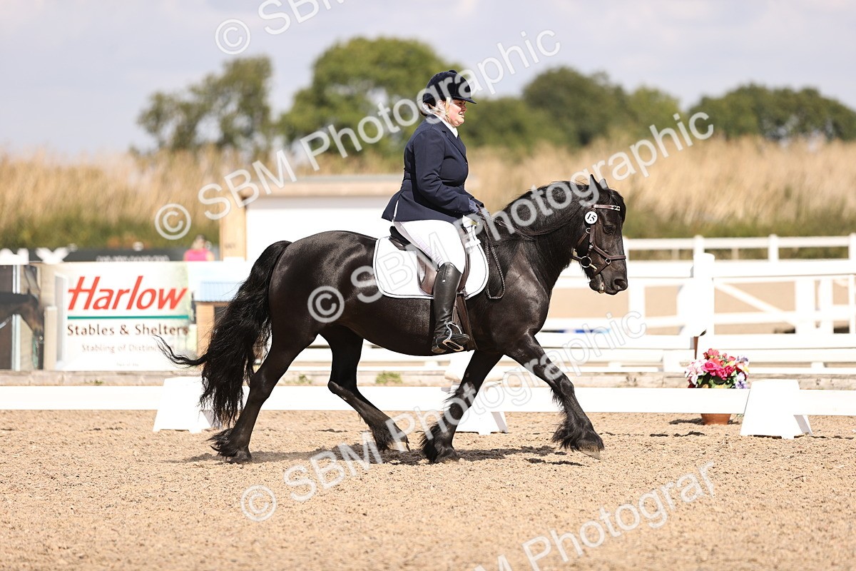 SBM_03683 - CLass 35 Intro 3