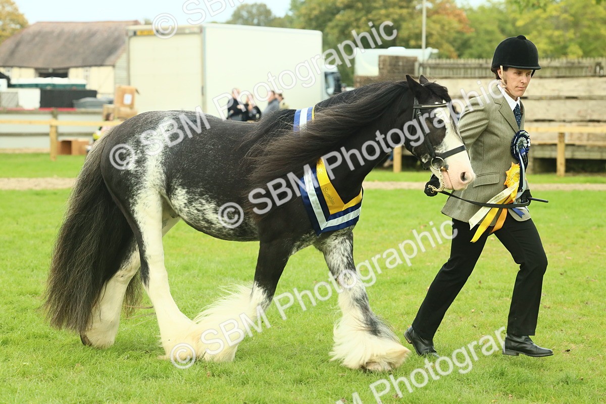 SBM_75196 - Super Supreme Championship
