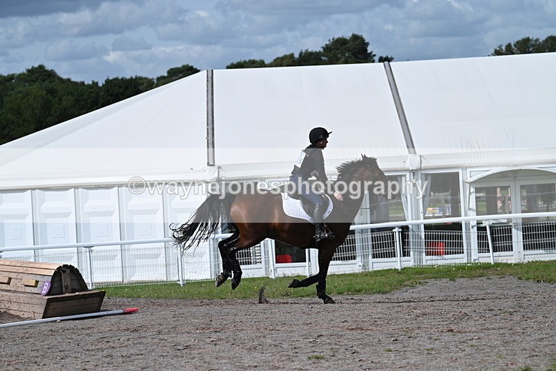 WJ7_1969 - Time 13:17 to 13:53