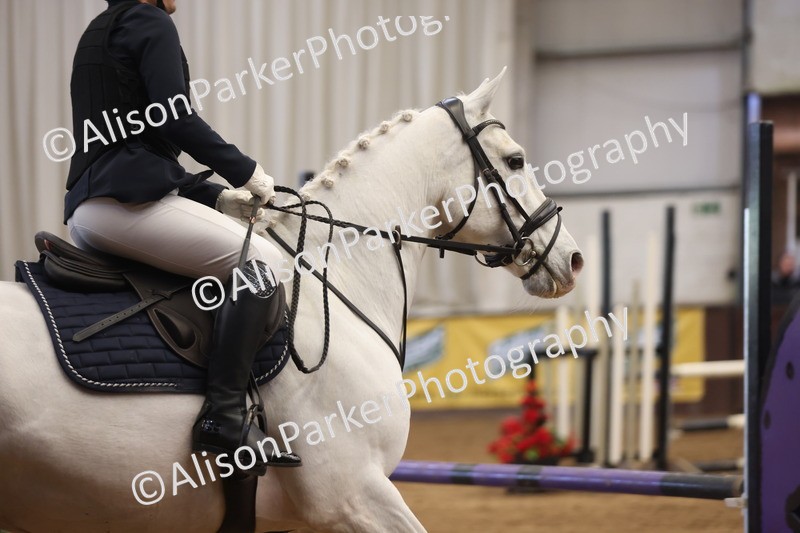 20260314-3224 - 80cm