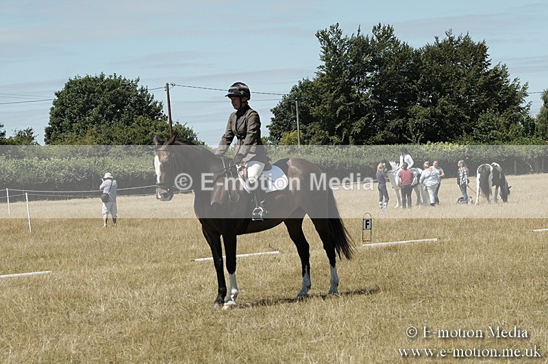 _PJP5923 - Dressage Classes BVRC Show 2018