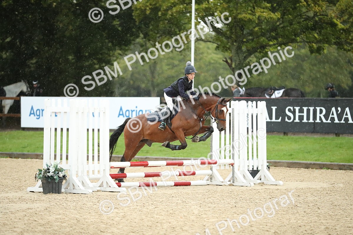 SBM_34317 - J60 Clear Round 50cm