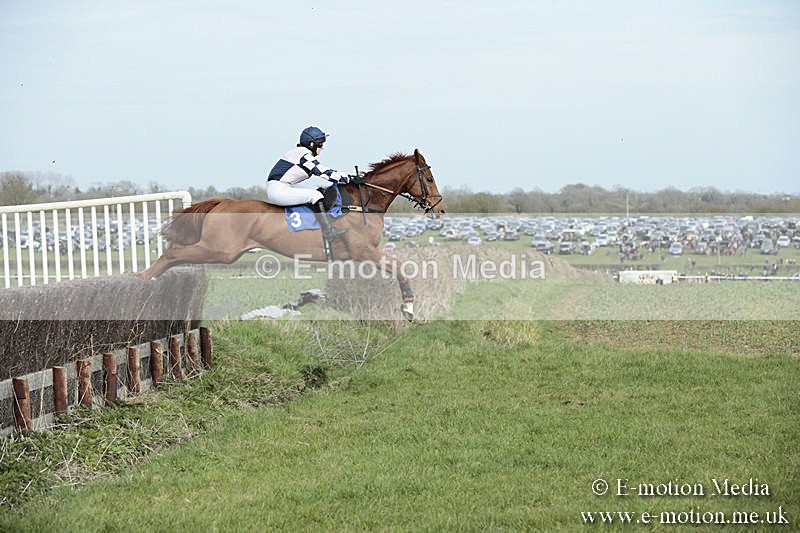 PtP 230319 352 - VWH Hunt Siddington Point-to-Point Racing 23/03/19