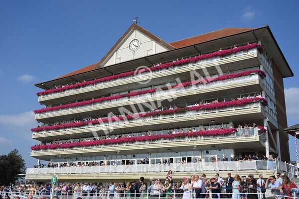 yr05092021r5-54 - Race 5 4.20pm Little Green Rascals Children's Nurseries Stakes