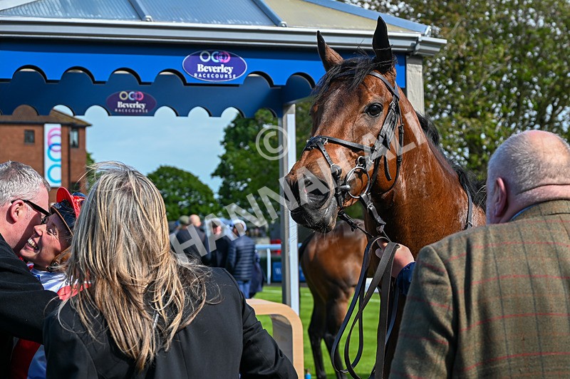 120526-Race 4-Dandy Dinmont-8355 - Race 4 4.00pm Annie Oxtoby Memorial Handicap