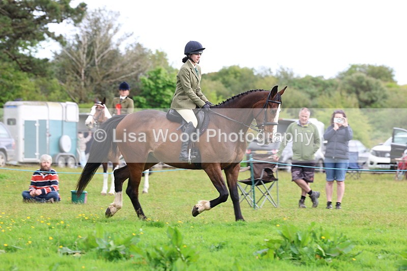 3E7A2498 - Classes 30 and 31: 80cm Working Hunter