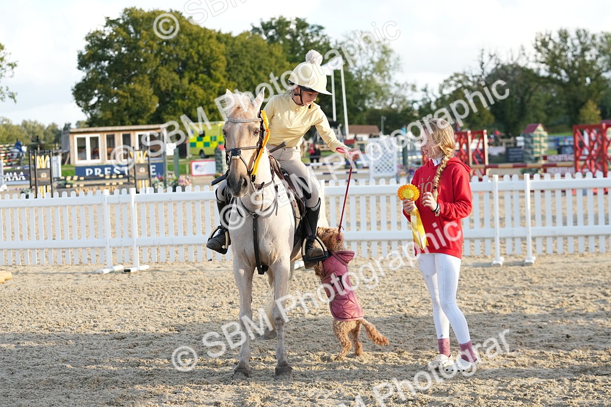 SBM_29499 - J44 - Horse & Hound Open 70cm