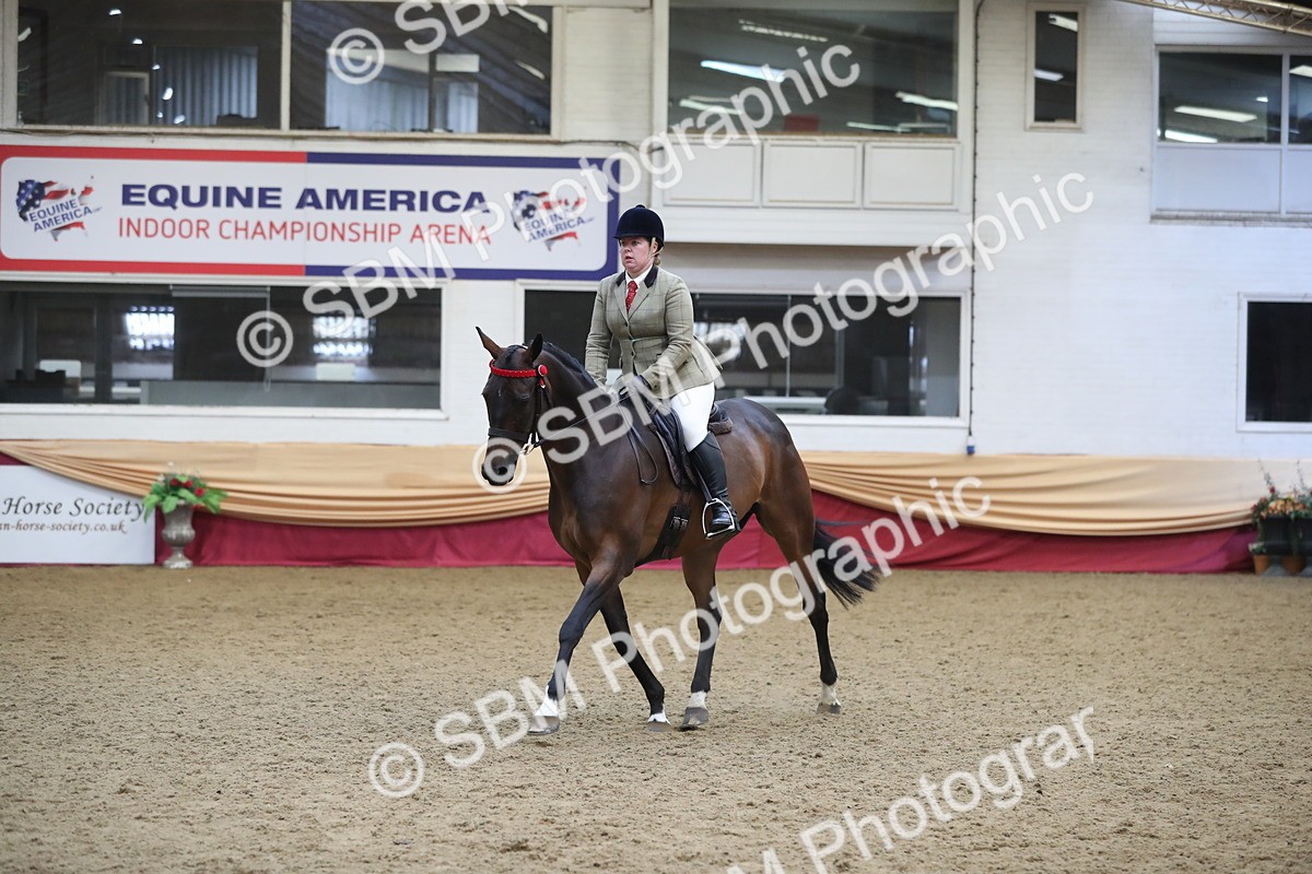 SBM_12337 - Class 108 Ridden Retired Racehorse- Pre Judging