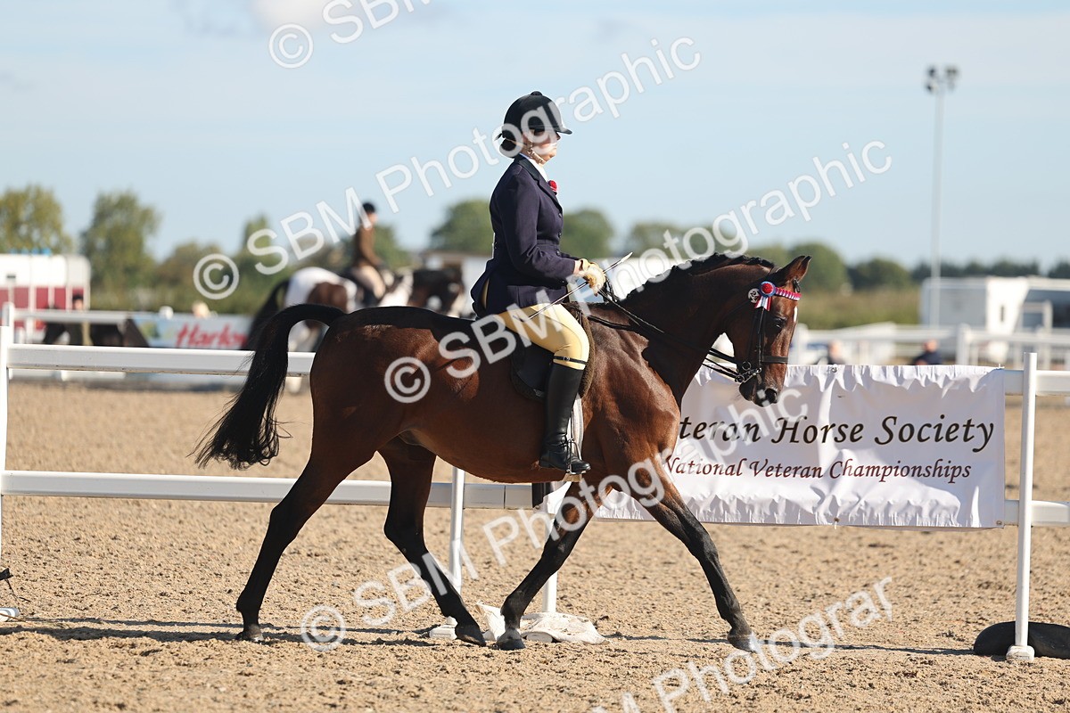 SBM_12276 - Class 304 - Ridden part Bred Horse Pony