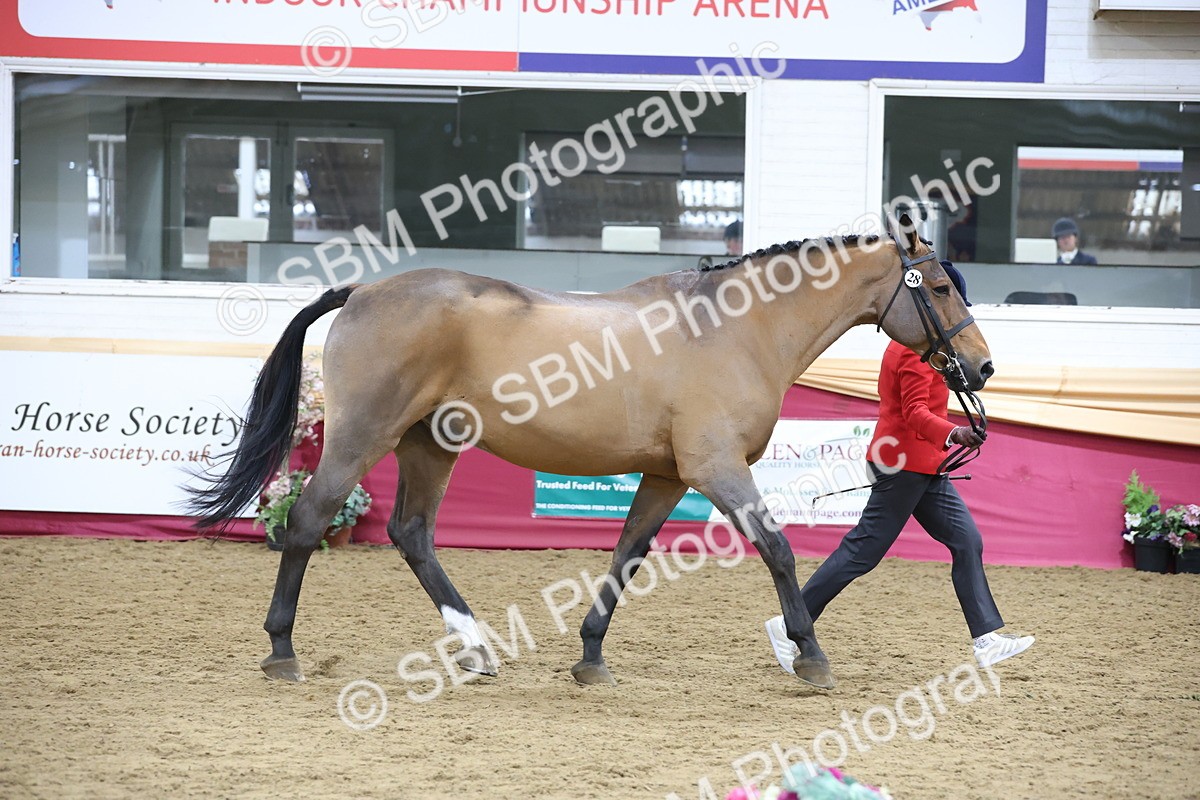 SBM_23621 - Class 904 - Supreme Final - Ridden Diamond