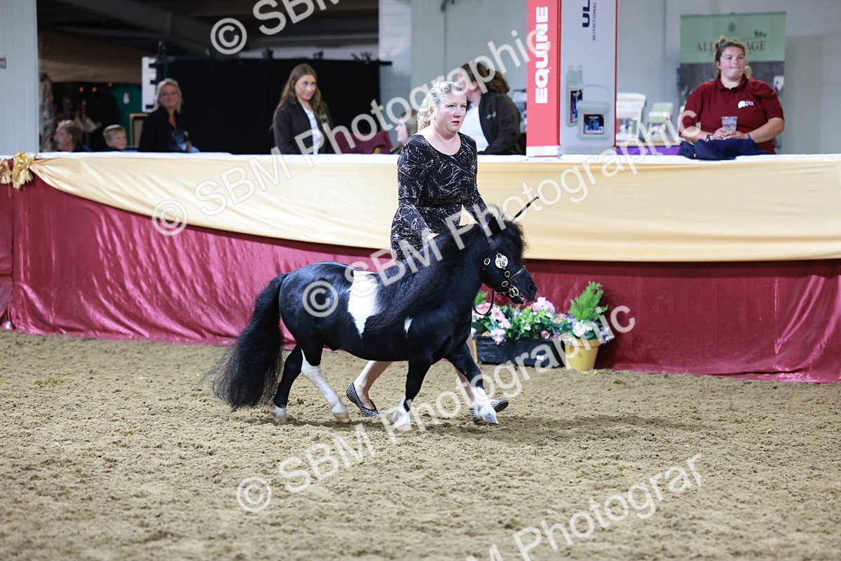 SBM_21057 - Class P - M&M Champs