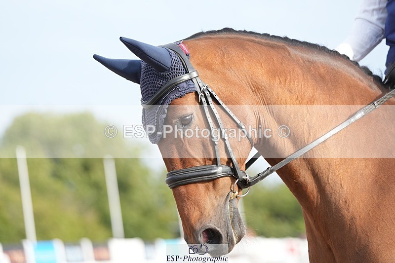 250906-085627-01004 - 032-Debbie.DykeThe.Trojan