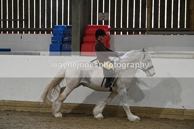WJ7_4238 - Class 17 Ridden Cob