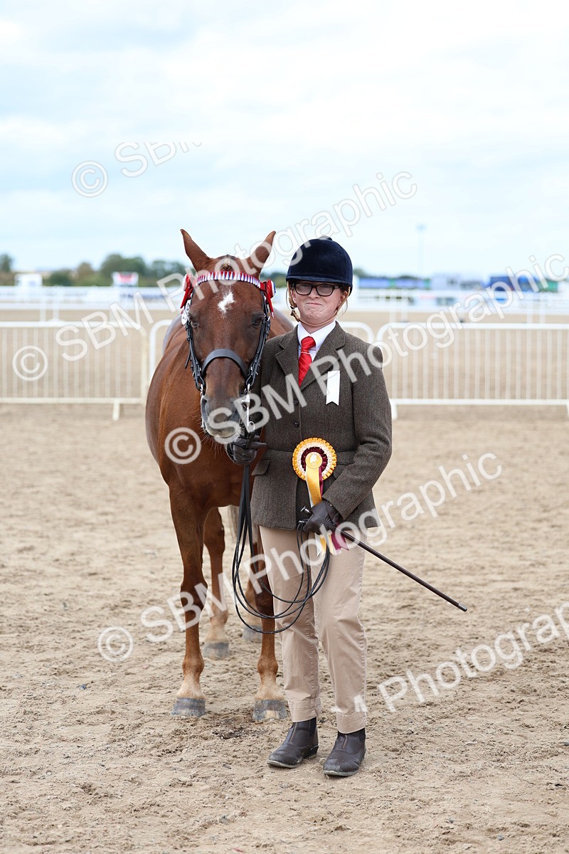 SBM_05982 - Class 29 - IH Veteran Pony