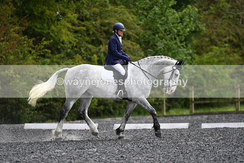 WJ5_1994 - Time 15:05 to 15:30