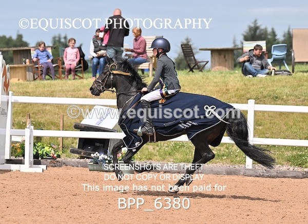 BPP_6380 - SUN CLASS 50 Horse of The Year Show 138cms Qualifier