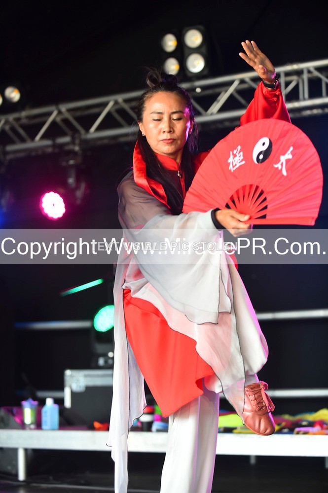 SH4_1665 - Tai Chi with Lisa Kay.