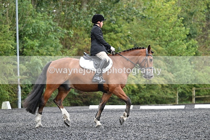 WJ7_6090 - Time 11:38 to 12:03