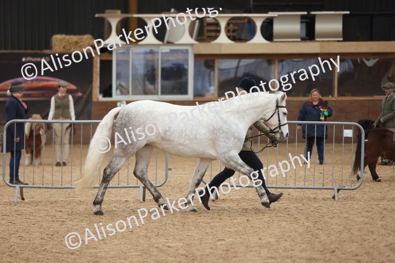 20251109-0895 - Class 26 - 2 and 4 Year Olds