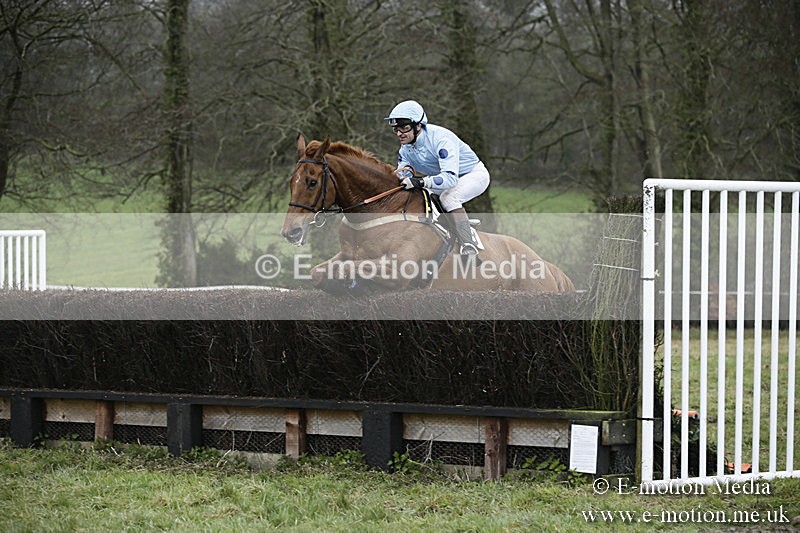 PtP 020418 -396 - Old Berks Point-to-Point Races Easter Monday 02/04/18