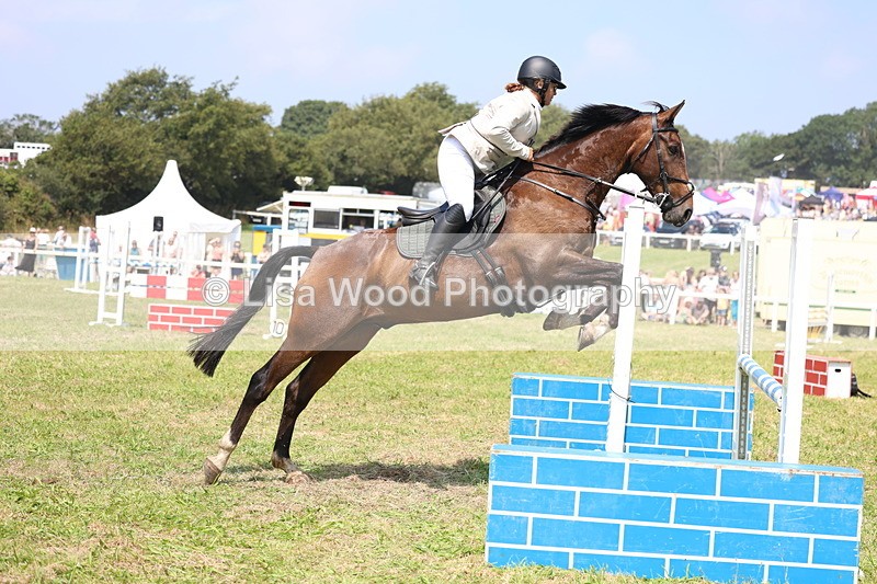 3E7A2847 - Class 7: Senior British Novice/90cm open