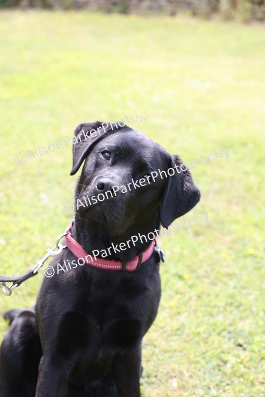 20250607-0001 - Misc