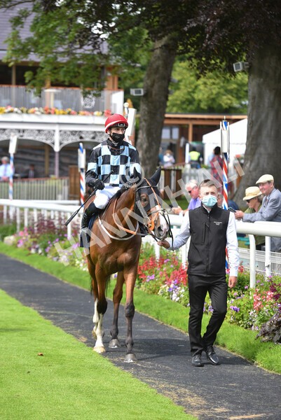 yr09072021r1-37 - Race 1: 2.05pm williamhill.com Best Odds Guaranteed Handicap Stakes