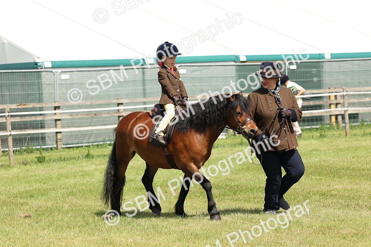 SBM_05241 - Class 24-25 - Mountain & Moorland In Hand Lead Rein and First Ridden