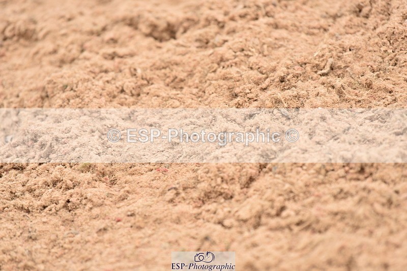 230507A-141138-08346 - Cls 48 Foxhunter