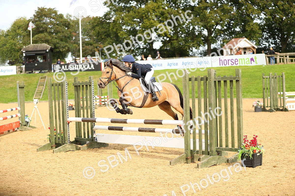 SBM_70213 - J18 - Junior Pony 85cm Championship