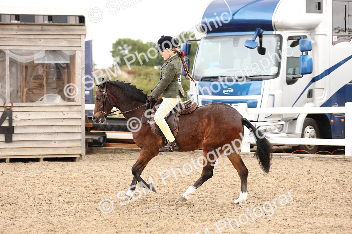 SBM_02899 - Class 53 - Ridden Competition Horse/Pony