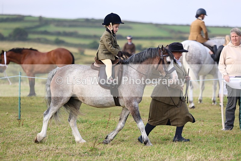 3E7A3382 - Class 2: Lead rein