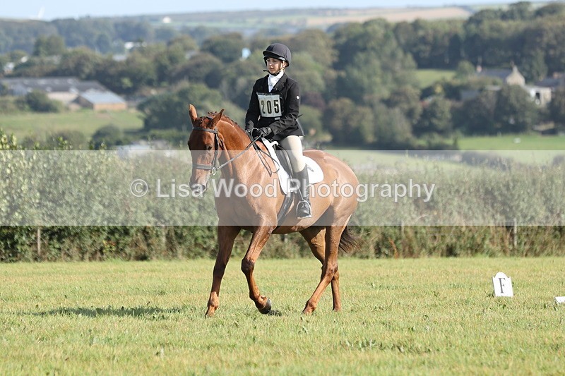 JPP_8032 - Class 2A: Trekenning Open: Dressage