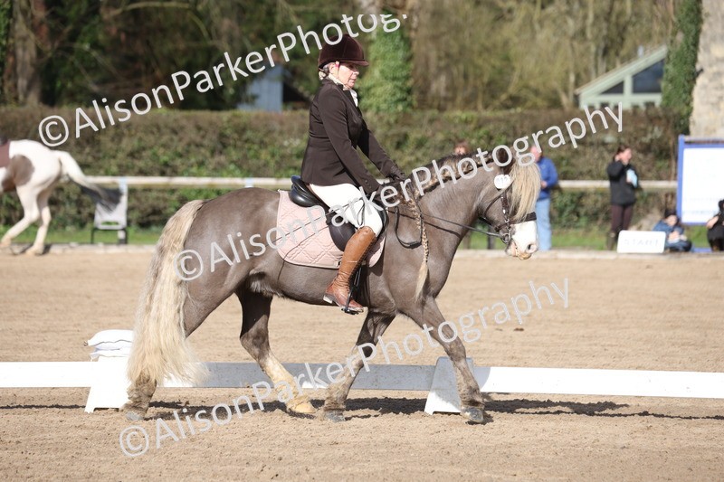 20260228-0398 - Class 4 - Prelim 2