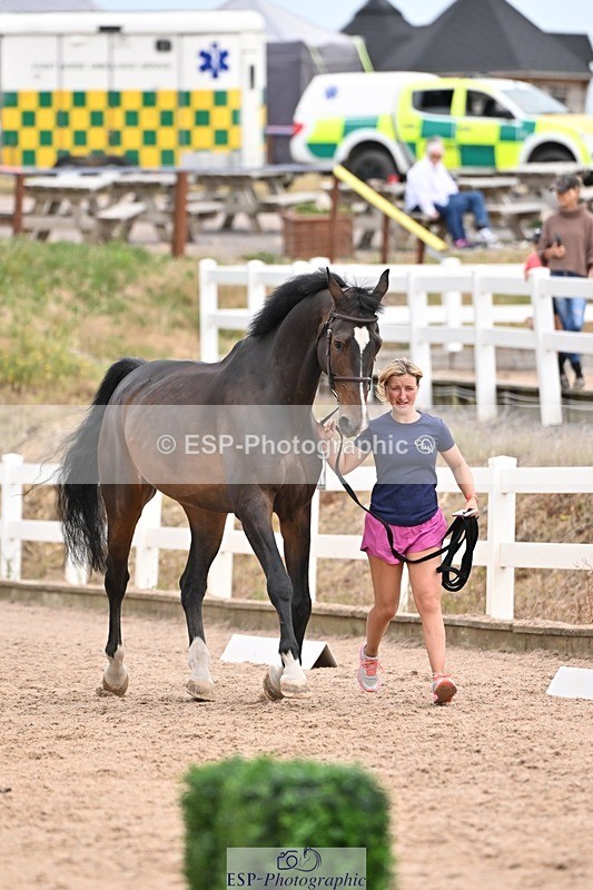 250716-153004-01964 - Trot Up 3.30 to 4.30