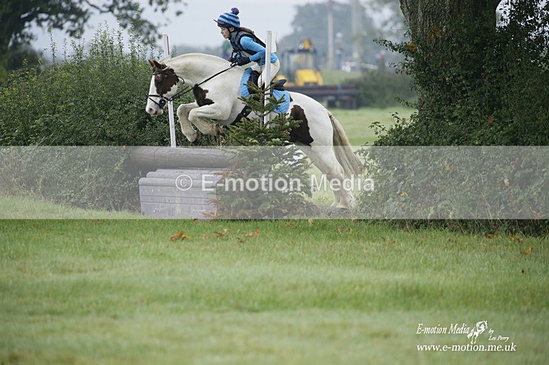 WWHT 171021 0130 - Novice Restricted (0.80m)  17/10/21