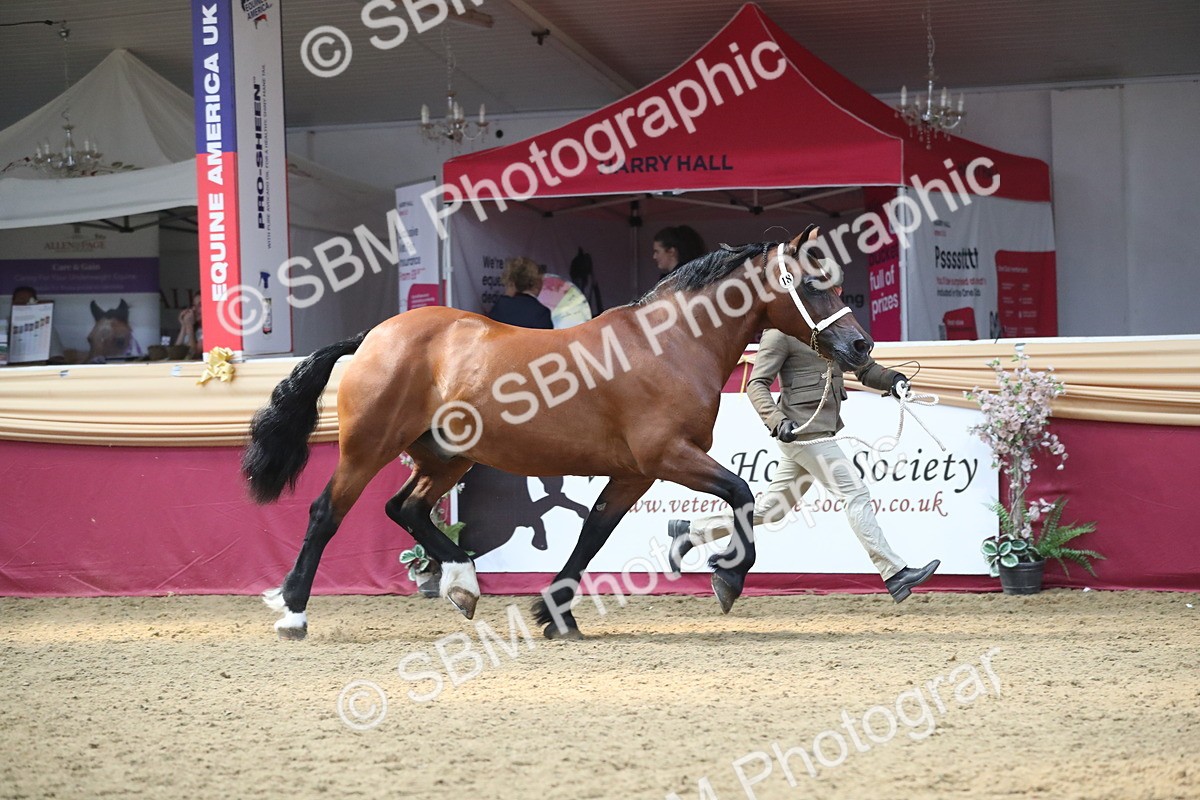 SBM_15201 - Class 501 M&M IH Supreme Final