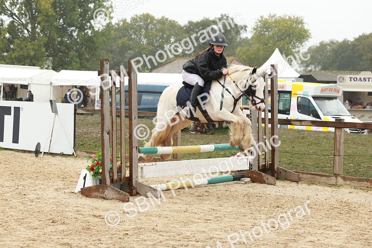 SBM_72143 - J14 - Junior Pony 65cm Championship