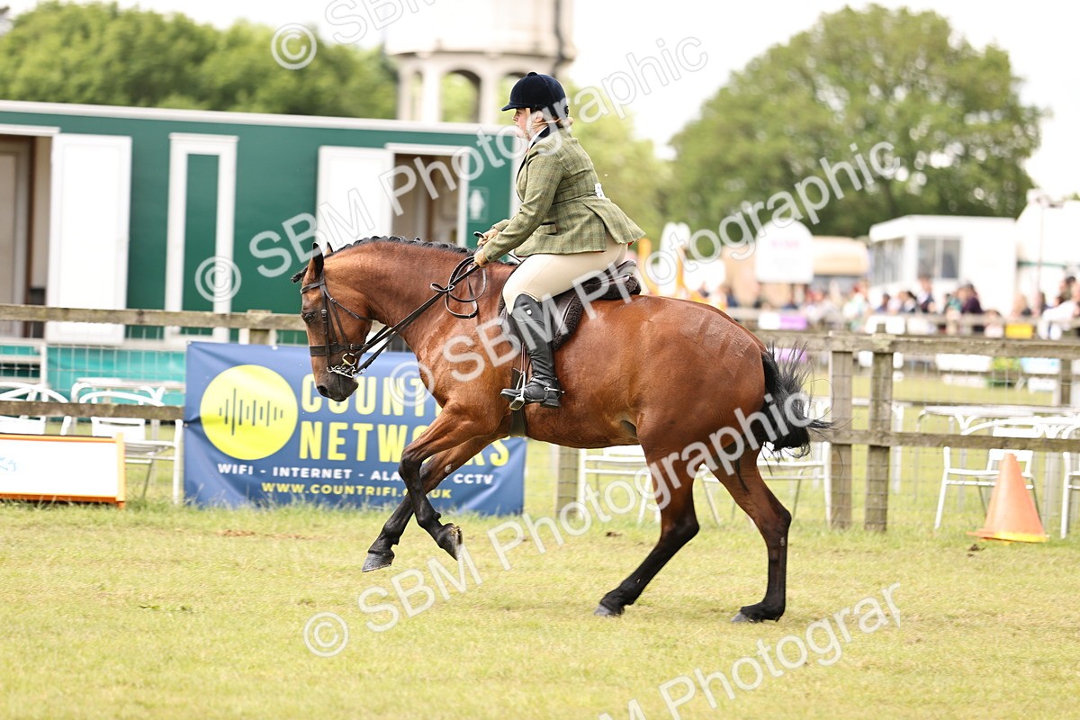 SBM_14597 - Class 88-89 - LIHS BSHA Rising Star of Ridden Hunter Type