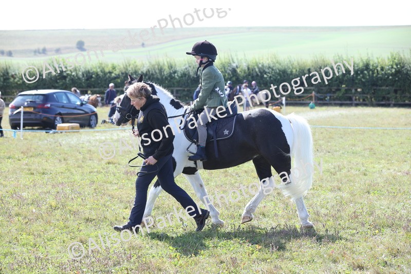 20250831-2497 - Class 16 - Family Pony